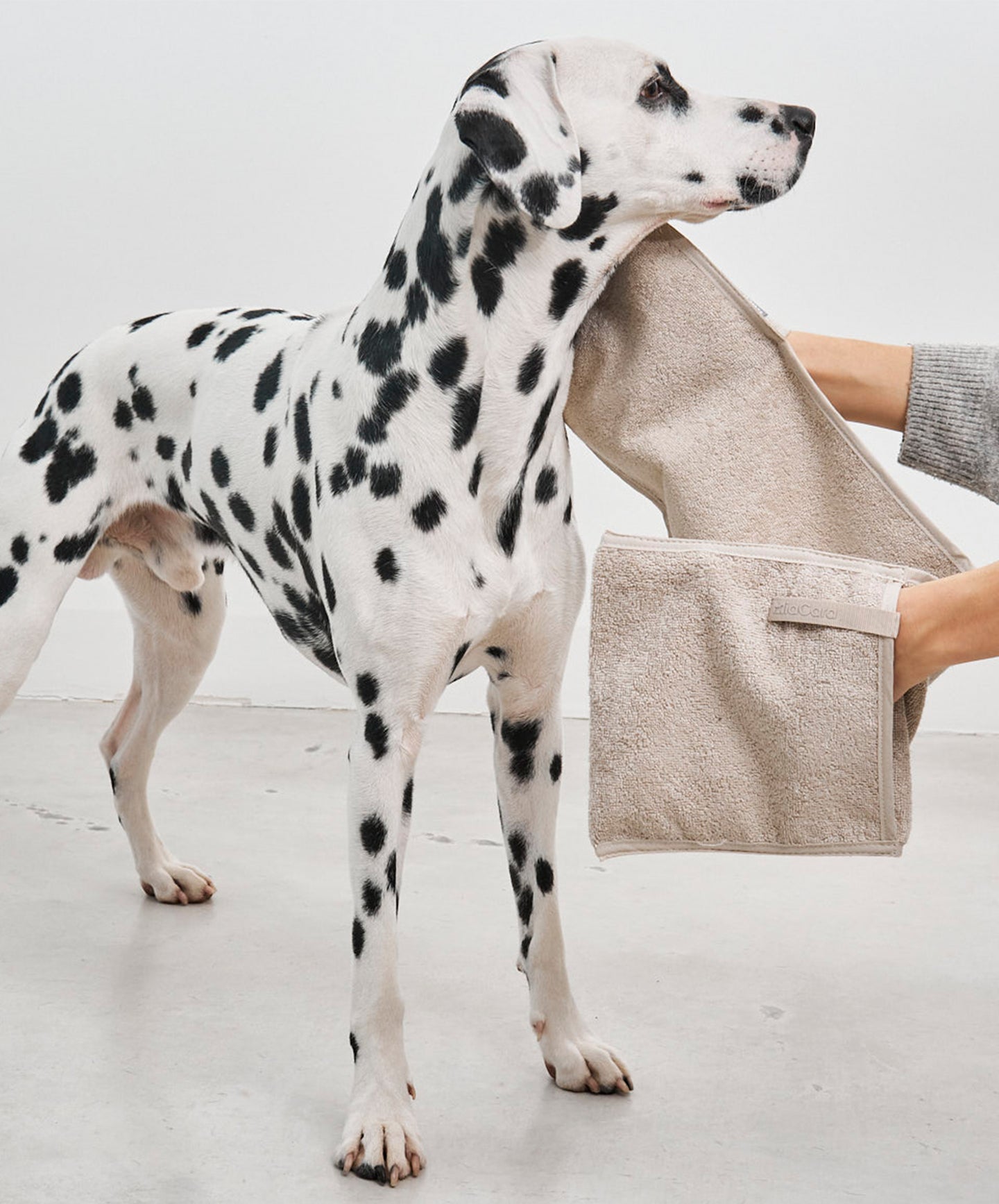 Image 35158035071252