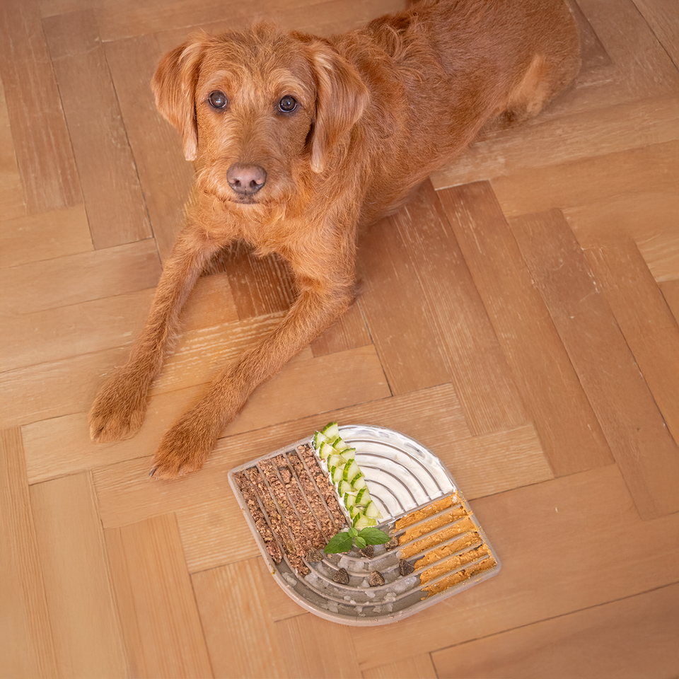 Image 66604842647925