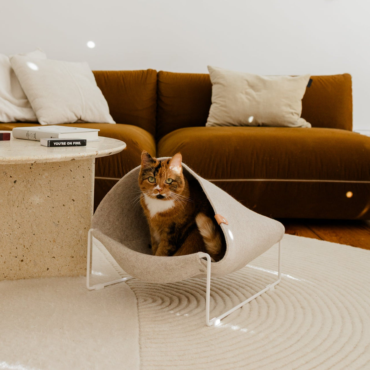 Image 66636148932981