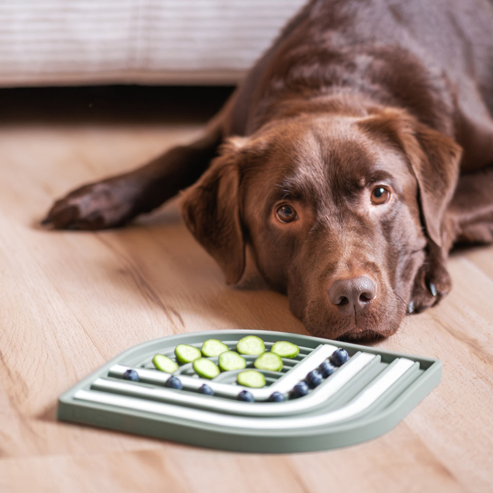 Image 66603535696245