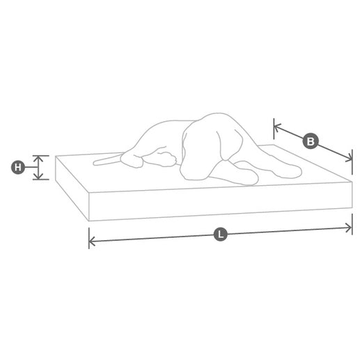 Afbeelding 34622006493460 Afbeelding 34622006493460