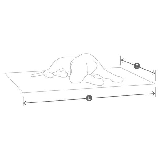 Image 65516230705525