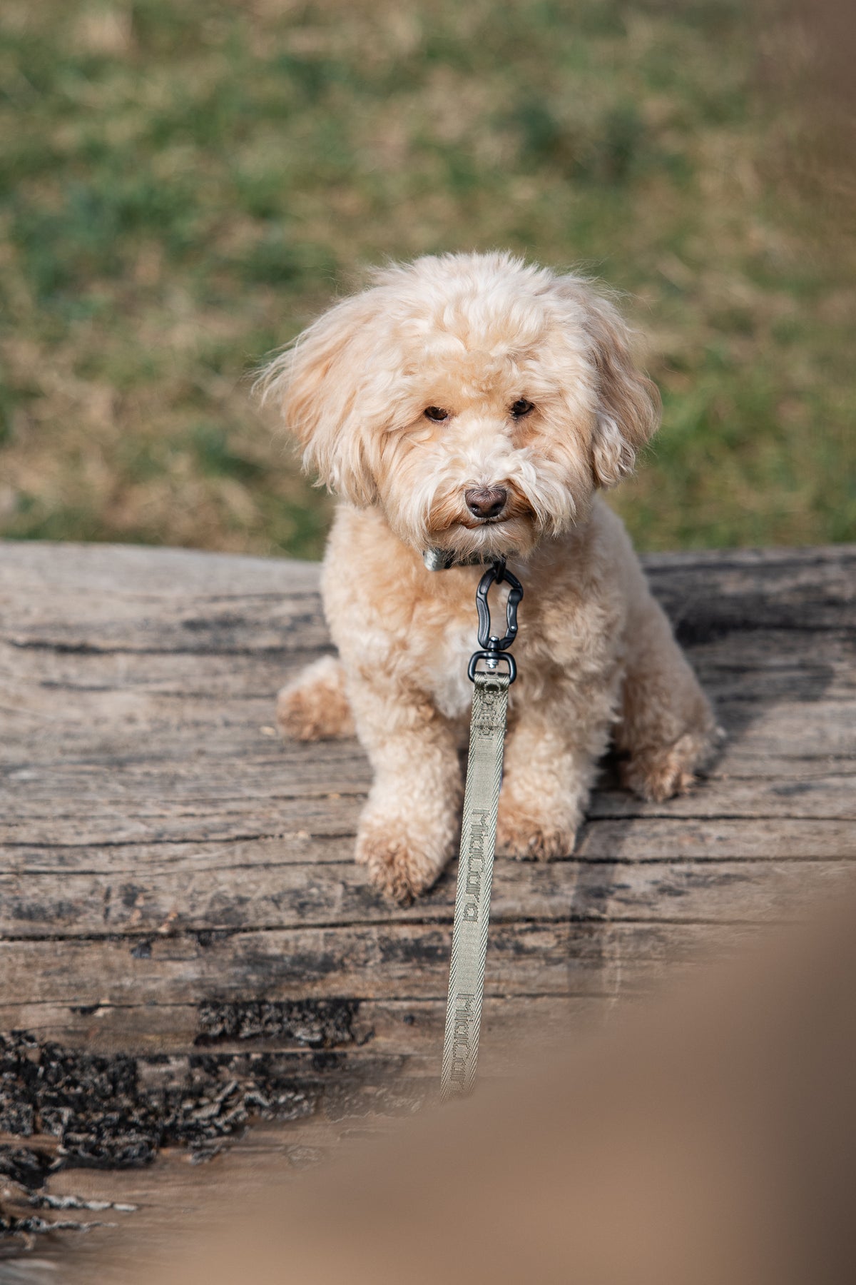 Image 69697684439413