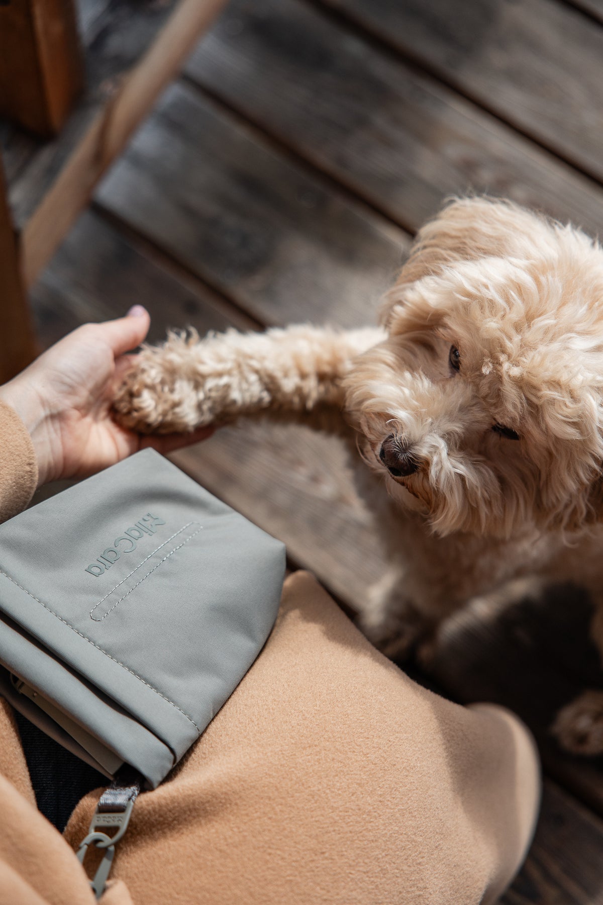 Image 69697684636021