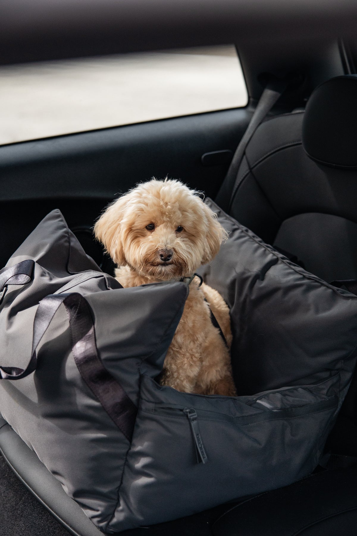 Image 69697684504949