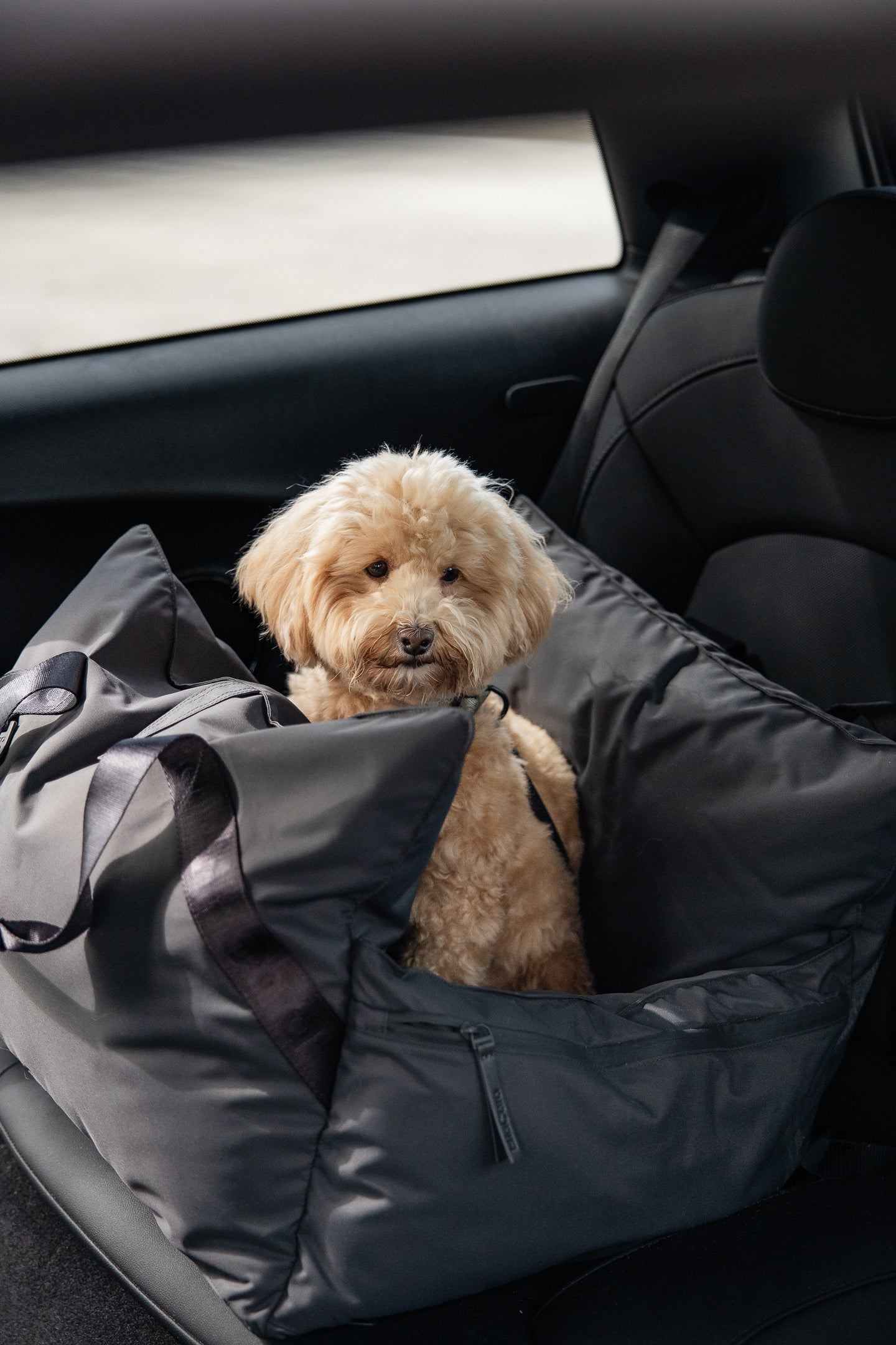 Image 69697684504949