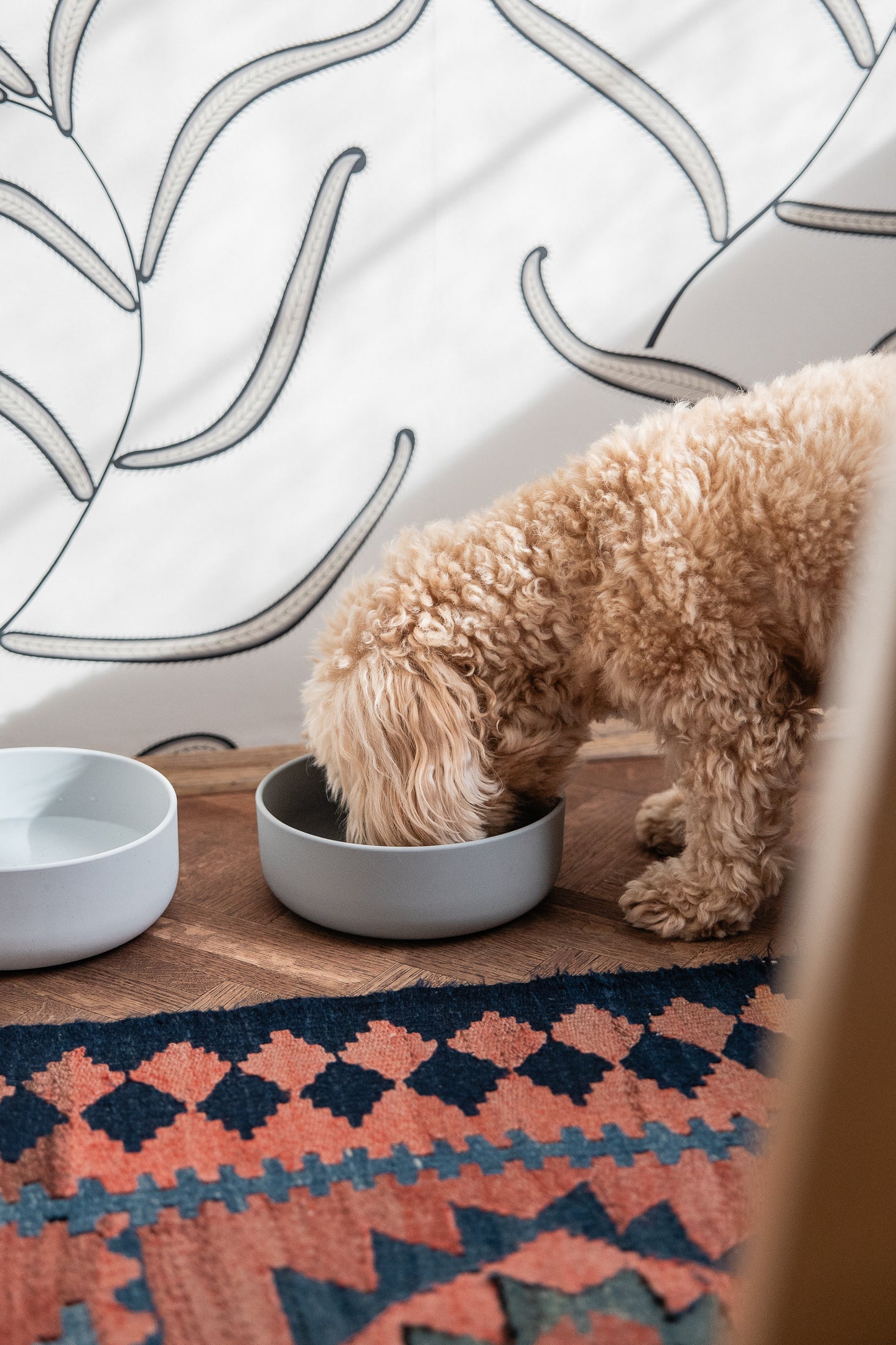 Image 69697684767093