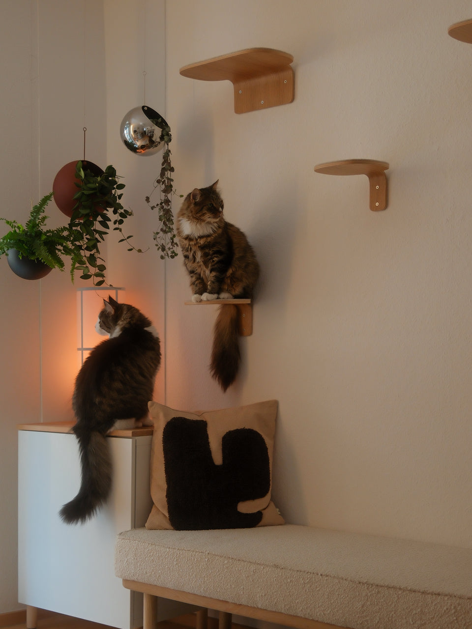 Image 70454365782389