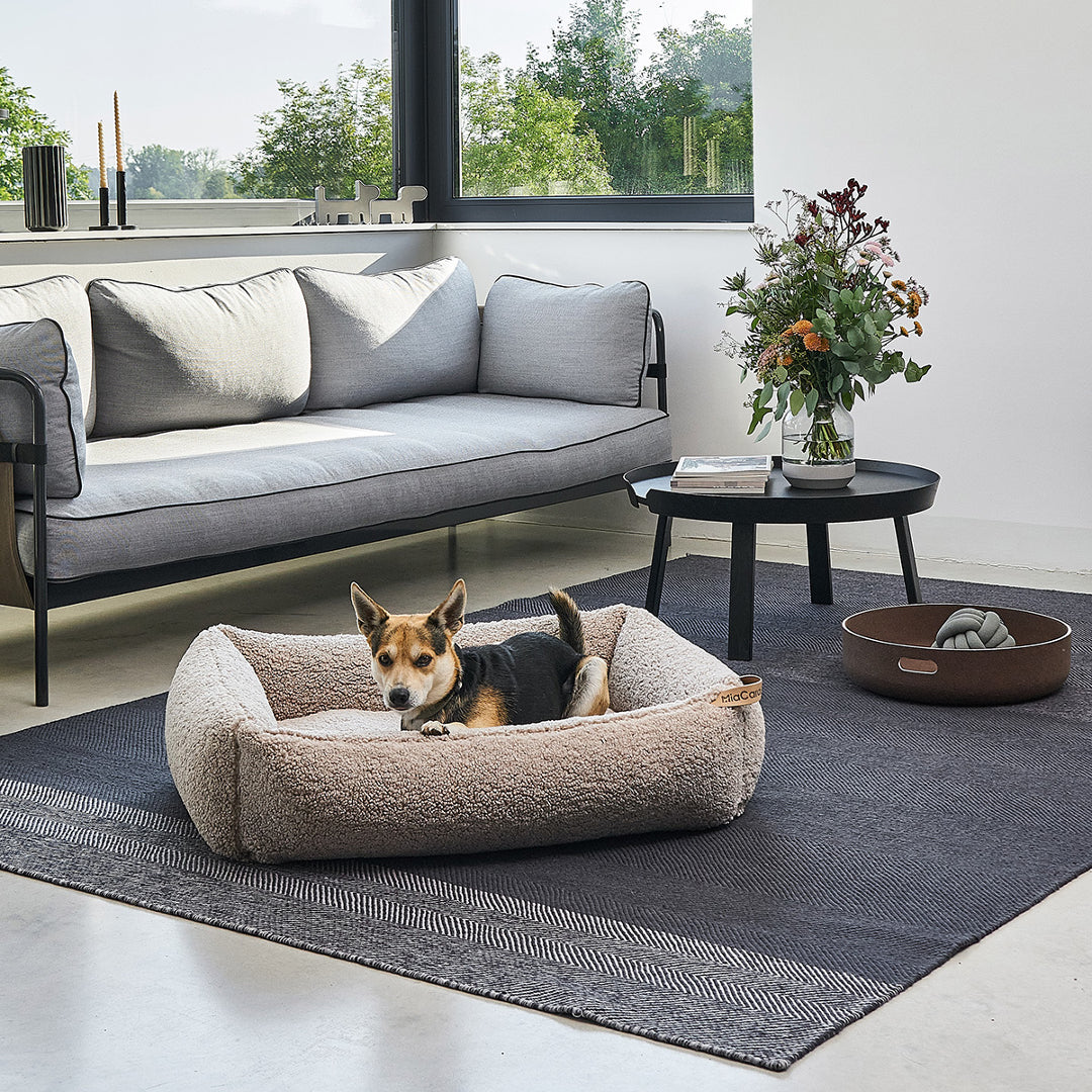 Designer dog beds for sweet cosy dreams MiaCara