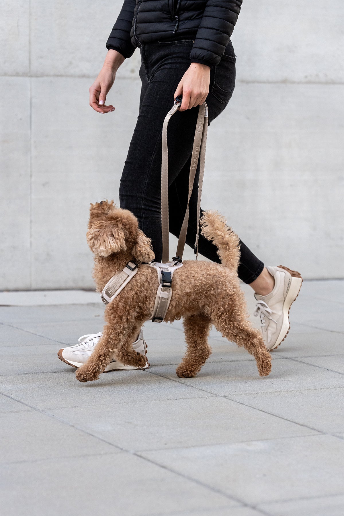 Image 68980355236213