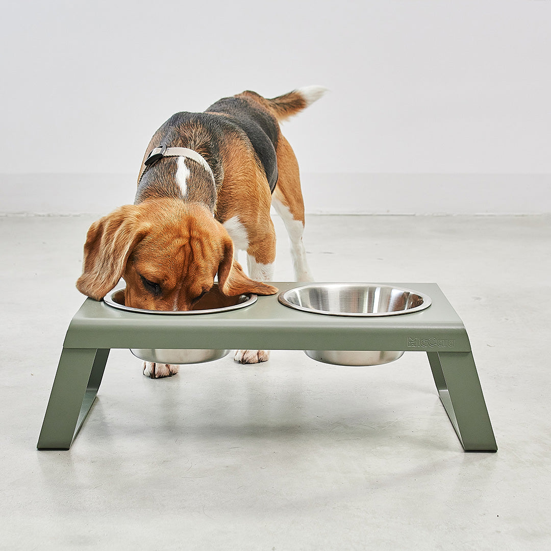 Beautiful Dog Bowls and Dog Feeders by MiaCara