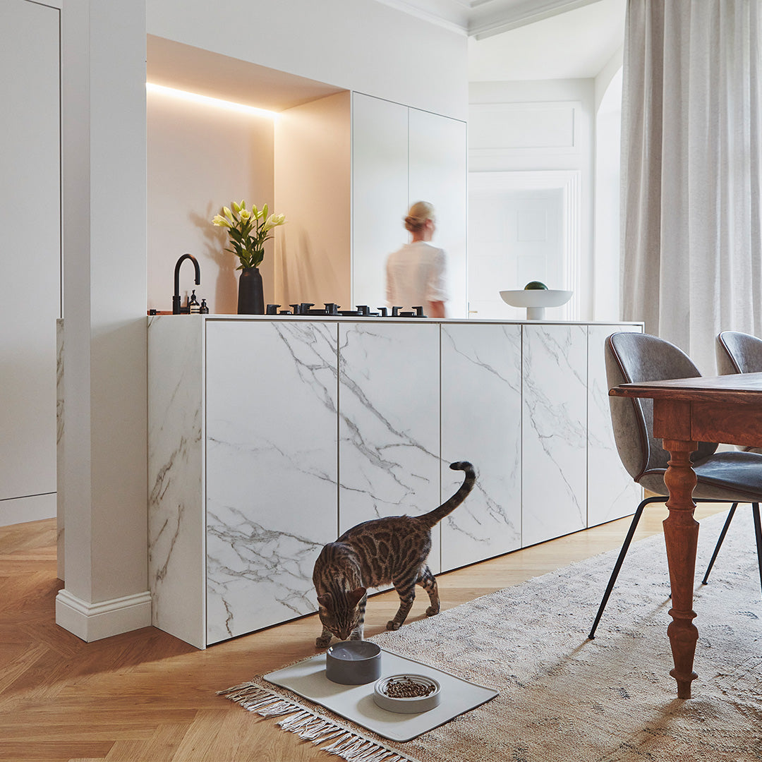 Stylish Cat Bowls by MiaCara in Unique Minimalistic Designs