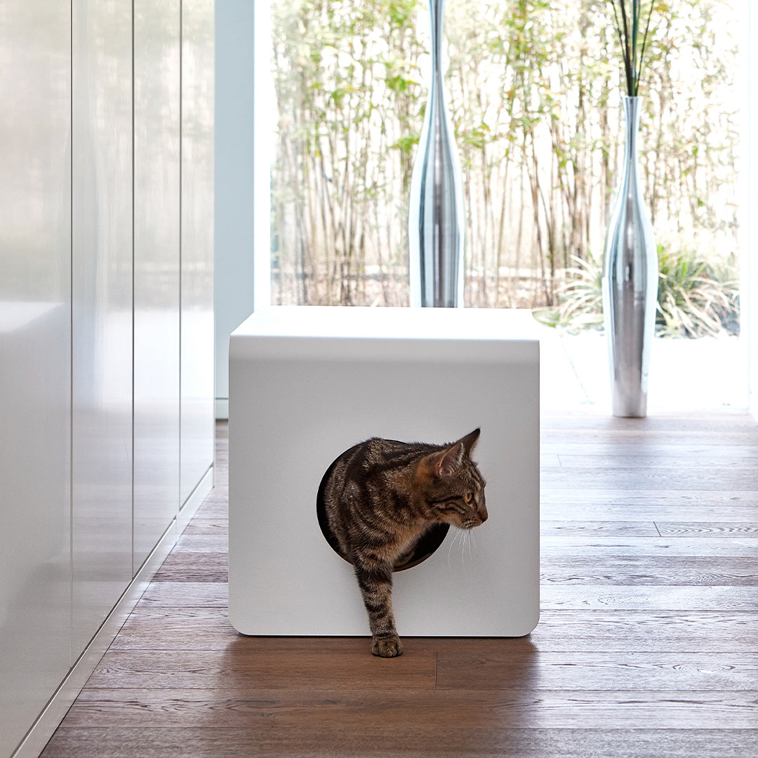 Designer Cat Litter Box by MiaCara Stylish Modern