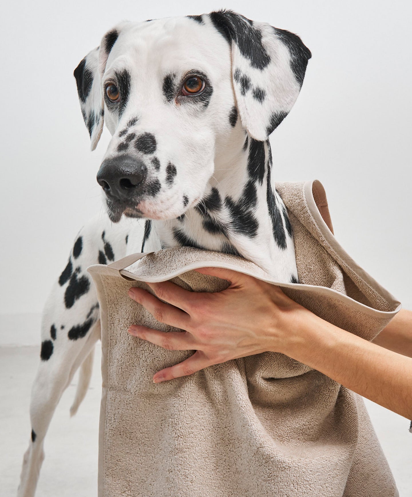 Image 35157004386580