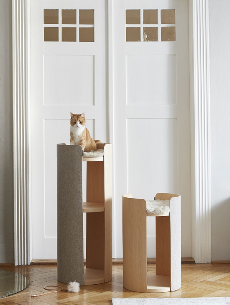 Discover Design Products for Your Cat Online | MiaCara