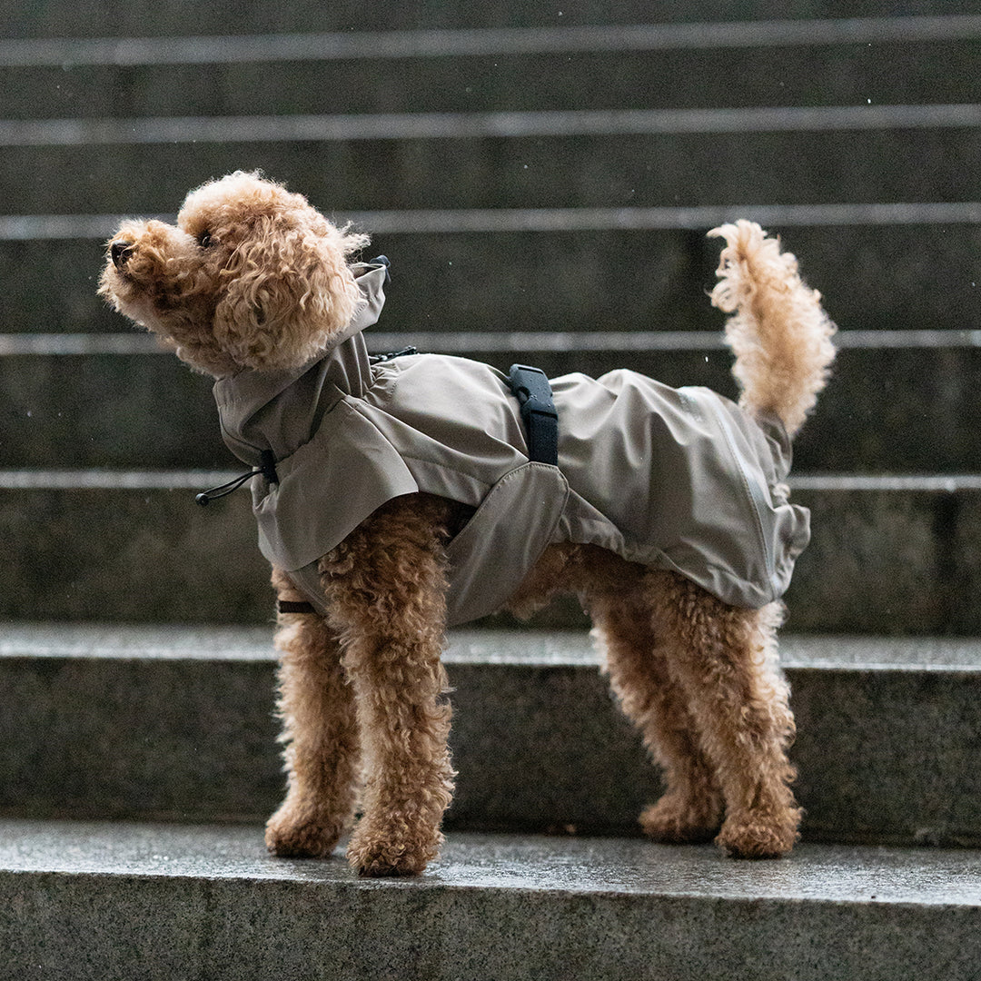 Image 69185424621941