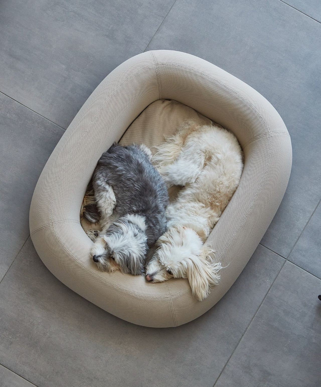 brandina miacara  Dog sofa, Pet furniture, Dog furniture