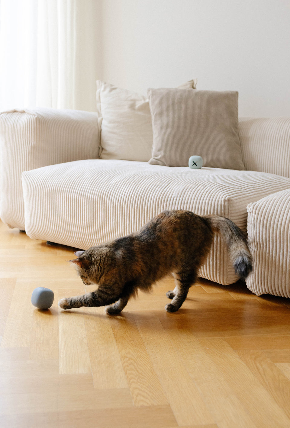 Image 68980519305589