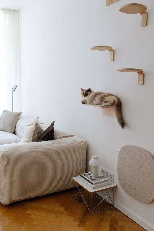 SKU:: G08-007-01-S ||