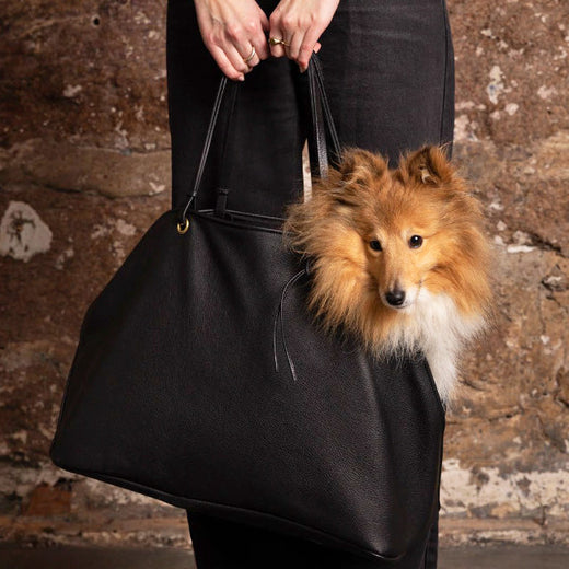 Image 66876379660661