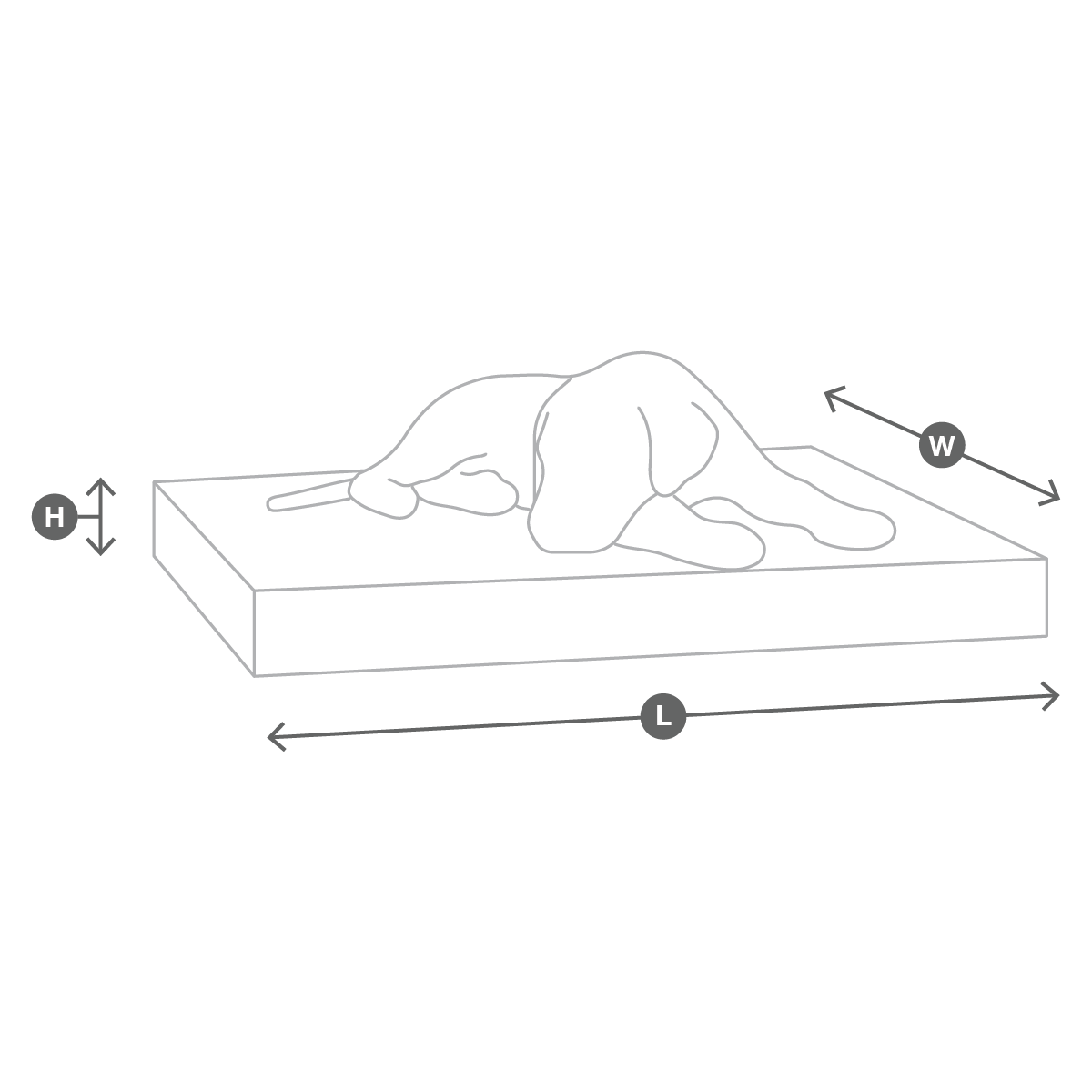 Image 66193481466229