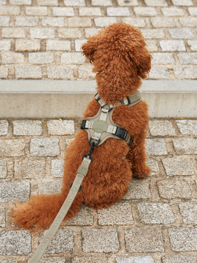 SKU:: C04-009-03-M ||