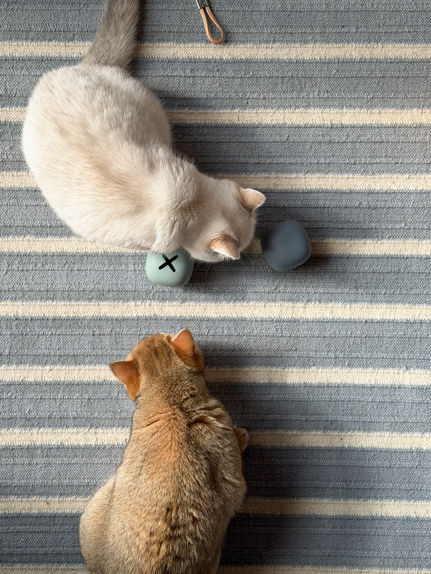 Image 68884486914421