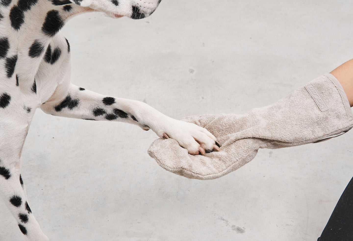dalmatiner handschuhe Guanto Trockenhandschuh für Hunde